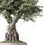 Zen Bonsai Indoor Plant Set 3D model small image 3