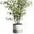 Concrete Vase Tree Indoor Set 3D model small image 5