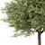 Stylish Tree Sculpture Design 3D model small image 2