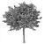 Stylish Tree Sculpture Design 3D model small image 3