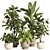 Modern Indoor Plant Set 81 3D model small image 1