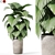 Variety of Lush Greenery 3D model small image 9