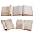 Vintage Decorative Book Set 3D model small image 3