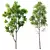 Spring Trees 3D Model Collection 3D model small image 1