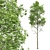 Spring Trees 3D Model Collection 3D model small image 3