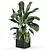 Indoor Plants Set with Metal Pots 3D model small image 1