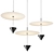 Sleek Saucer Pendant Light 3D model small image 3