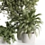 3D Indoor Plants Set 123 3D model small image 2