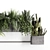 Premium Indoor Plant Shelf Set 3D model small image 4