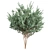 High-Quality Eucalyptus Tree Model 3D model small image 3