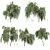 Eucalyptus Caesia Tree Model 3D model small image 1