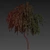 Eucalyptus Caesia Tree Model 3D model small image 7