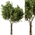 Modern Olive Tree Set24 Miniature 3D model small image 1