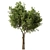 Modern Olive Tree Set24 Miniature 3D model small image 2