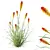 Colorful Tritoma Hot Poker Plant 3D model small image 2