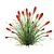 Colorful Tritoma Hot Poker Plant 3D model small image 5