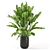 Modern Indoor Plants Set 2418 3D model small image 1