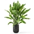 Modern Indoor Plants Set 2418 3D model small image 2