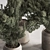 Houseplant 789: Bush in Planter 3D model small image 4