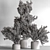 Houseplant 789: Bush in Planter 3D model small image 5