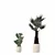 Rattan Pot Plant Collection 218 3D model small image 2