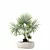 Rattan Pot Plant Collection 218 3D model small image 3