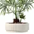 Rattan Pot Plant Collection 218 3D model small image 6