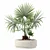 Rattan Pot Plant Collection 218 3D model small image 9