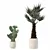 Rattan Pot Plant Collection 218 3D model small image 10