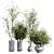 Mediterranean Joyplants Olive Tree Set 3D model small image 1