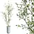 Mediterranean Joyplants Olive Tree Set 3D model small image 2