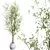 Mediterranean Joyplants Olive Tree Set 3D model small image 5