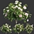 Vol 74 Rose Bush Collection 3D model small image 1