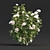 Vol 74 Rose Bush Collection 3D model small image 4