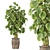 Pothos Plant Wrapped Wooden Branches 3D model small image 1