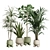 Exotic Indoor Plants Collection Bundle 3D model small image 1