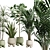 Exotic Indoor Plants Collection Bundle 3D model small image 2