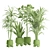 Exotic Indoor Plants Collection Bundle 3D model small image 3