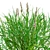 Realistic 3D Grass Model: Versatile Texture 3D model small image 4