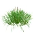 Realistic 3D Grass Model: Versatile Texture 3D model small image 5