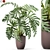 1133 Plant Collection: Lush Greenery 3D model small image 1