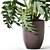 1133 Plant Collection: Lush Greenery 3D model small image 2