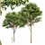 Archived Gray Alder & Pollard Willow 3D model small image 6