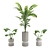 Modern Indoor Plant 3D Model 3D model small image 1