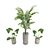 Modern Indoor Plant 3D Model 3D model small image 2