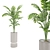 Modern Indoor Plant 3D Model 3D model small image 3