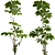 3D Tree Plant Model Collection 3D model small image 6