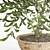 Stylish Potted Olive Houseplant 3D model small image 2