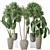 120 Plant Set Collection 3D 3D model small image 1