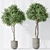 120 Plant Set Collection 3D 3D model small image 3